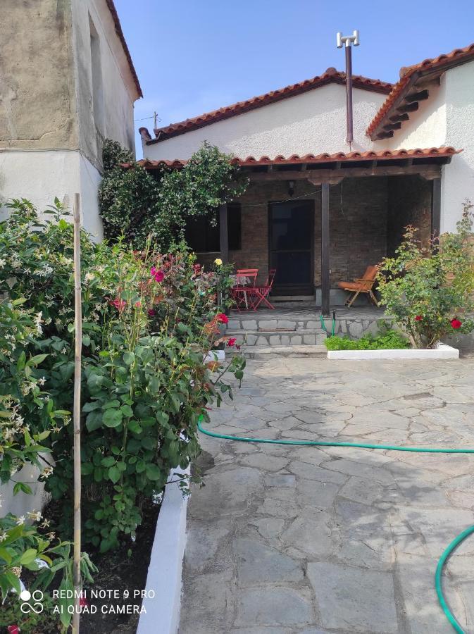 Detached House In Sykia Sykia Chalkidikis Exterior foto